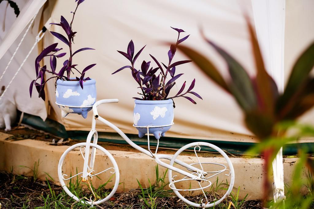 Harmony Glamping Boutique Hotel And Yoga Tulum Phòng bức ảnh